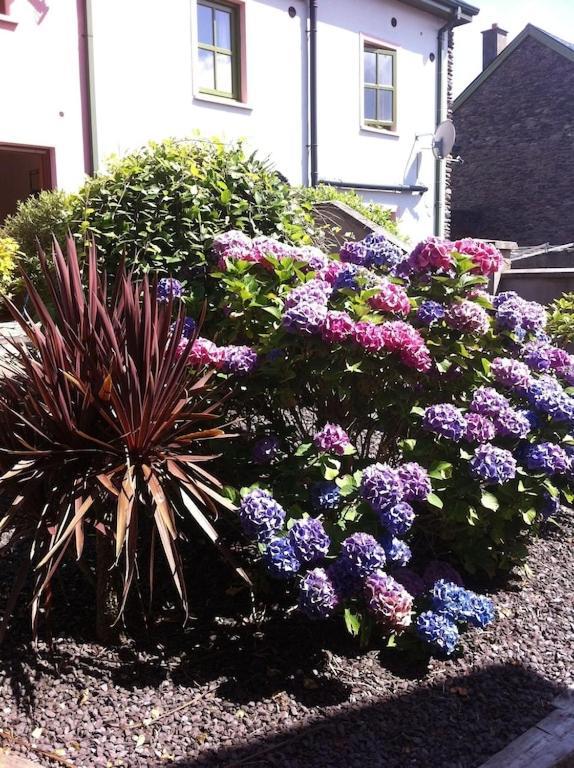 Burnham View Vila Dingle Exterior foto
